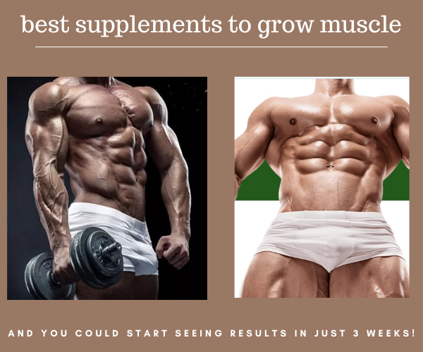 Best Supplements For Muscle Growth 8367